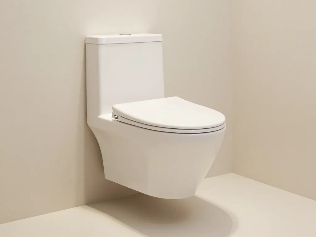 wc suspendu autoportant sol dégagé et bâti visible