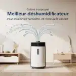 Meilleur déshumidificateur : technologie et capacité