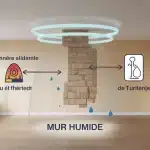 mur humide avec diagnostic et solutions