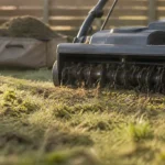 Démousseur ou scarificateur : mousse et feutre sur pelouse humide