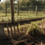 Plantes envahissantes jardin : bêche et mauvaises herbes, rhizomes et graines